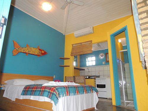 Barracuda Pipa